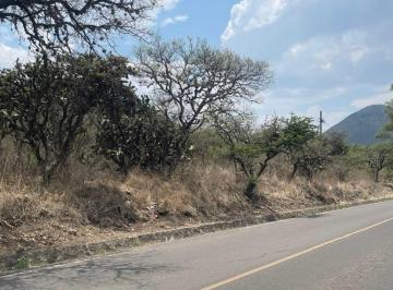Terreno / Lote · 10000m² · Terreno Campestre Venta - (4)