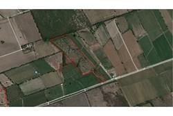 N/A · En Venta 7.5 Hectáreas en Pesqueira
