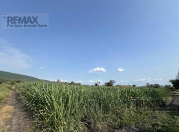 Parcela en Chiconcuac, Xochitepec, Morelos... Clave 5711 · Parcela en Chiconcuac, Xochitepec, Morelos. Clave 5711