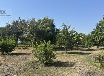 Terreno / Lote · 7036m² · Terreno de 7,036 m². Huerto con Árboles Frutales en Puente de Ixtla, Morelos…clave 6114