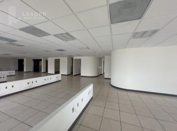 Oficina · 400m² · 5 Estacionamientos · Oficina en Renta en Colonia Anzures, Calz. Mariano Escobedo