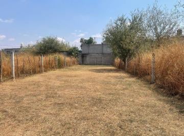 Terreno / Lote , Cuautla · Se Vende Lote de Terreno de 503 m² Col Vicente Guerrero, Cuautla, Morelos