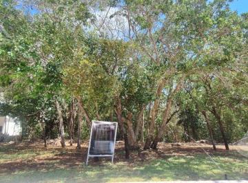 Terreno / Lote · 731m² · Terreno en Venta en Lagos del Sol