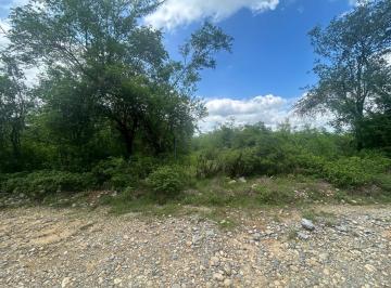 Terreno / Lote · 375000ha · Terreno en Venta en Linares Nuevo Leon