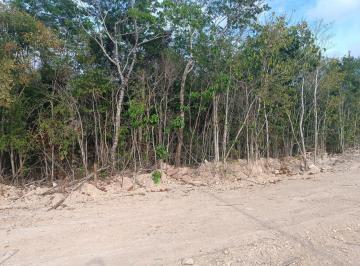 Terreno / Lote · 769m² · Terreno en Venta en Altai