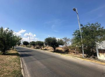 f98819bd54209a20e3347cd97c5d02c06a8d49f7d061ad1d1ba3b6ab6c902f66 · Terreno Comercial en Renta Sobre Av Altavista