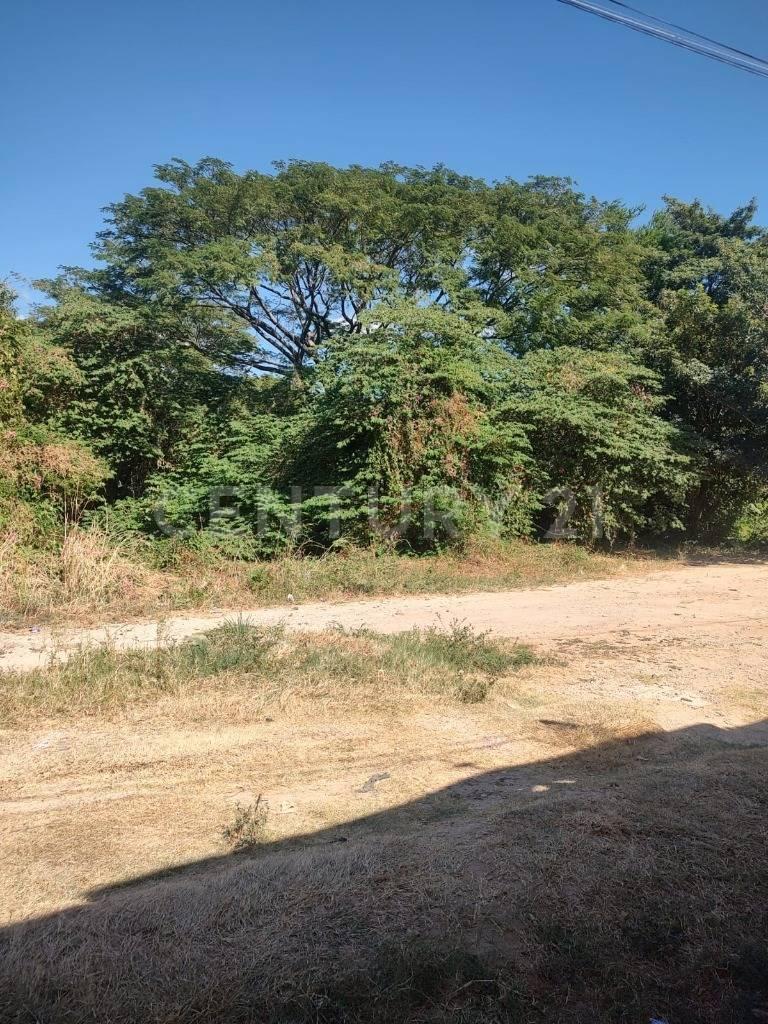 Land for Sale in Barrio El Calvario, Arriaga, Chiapas