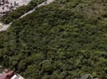 Terreno / Lote · 38800m² · Venta Terreno Región 216