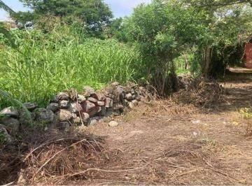 Terreno / Lote · 4363m² · Venta de Terreno Alpuyeca, Morelos, Km 2 Carretera Cuernavaca / Grutas de Cacahuamilpa