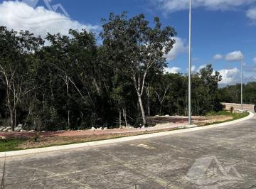 Terreno / Lote · 144m² · Terreno en Venta en Altai Cancun