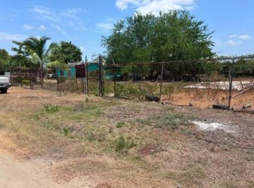Terreno / Lote , El Mante · Terreno en Venta Frente a Parque Municpal