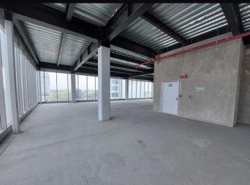 0d48da479117a71806f359b3d64da48cb33110b4ccaf1933249946df730a3d6f · Oficinas Renta, Col. Popotla