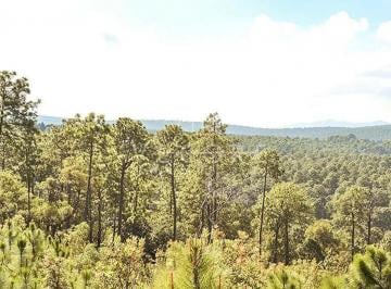 1 · Terreno en Venta en Bosques de La Cañada, Tapalpa