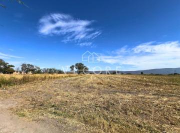 1 · Terreno Para Siembra en Ixtlahuacan de Los Membrillos, Jalisco