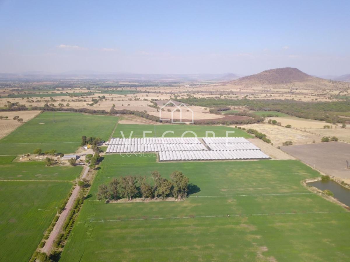 Terreno en Venta en Ocotlán, Jalisco