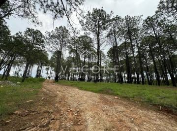 1 · Terreno en Venta a Pie de Carretera en Tapalpa, Jalisco