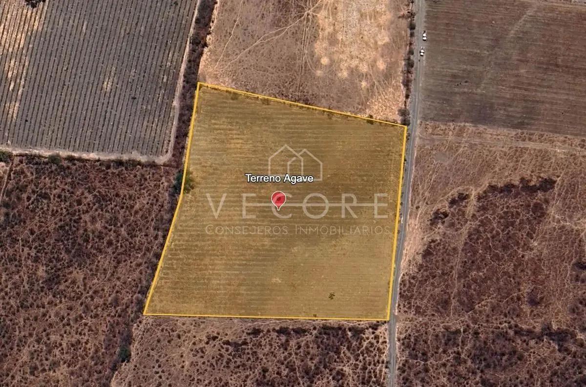 Terreno de Agave en Venta en Tala, Jalisco