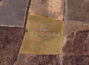 1 · Terreno de Agave en Venta en Tala, Jalisco