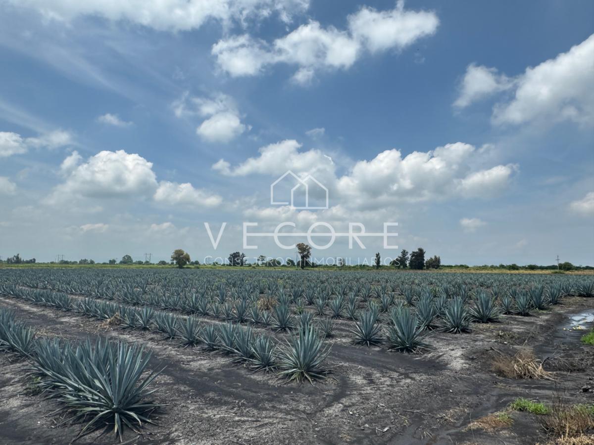 Terreno en Venta en La Magdalena, Michoacan