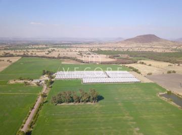 1 · Terreno en Venta en Ocotlán, Jalisco