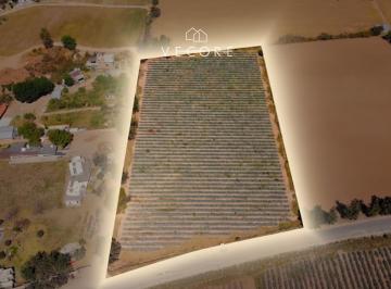 1 · Terreno en Venta Sobre Camino a San Isidro Mazatepec, San Agustin, Tlajomulco