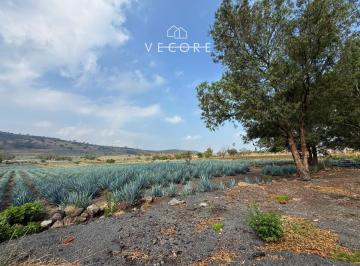 1 · Terreno en Venta en Cerro de La Campana, Zapotlanejo, Jalisco