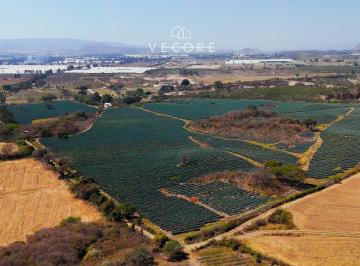1 · Rancho La Gavilana en Venta, Camino a San Isidro Mazatepec, Tlajomulco de Zuñiga
