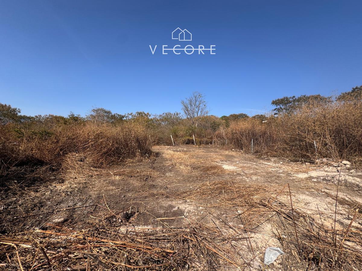 Land for Sale in Colinas de Cajititlán, Tlajomulco de Zúñiga