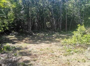 Terreno / Lote · 8463m² · Terreno en Venta en Puerto Morelos Ruta de Los Cenotes