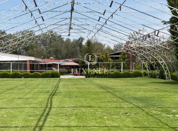 Terreno / Lote · 5980m² · 50 Estacionamientos · Terreno en Venta en Purificación, Teotihuacan