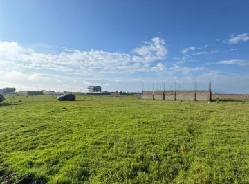 Terreno / Lote · 280m² · Terreno en Venta en Barrio de La Asunción, Estado de México