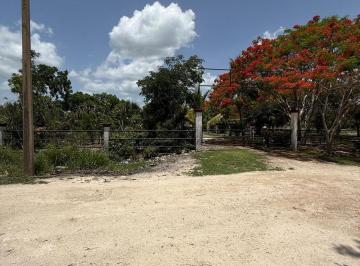 Terreno / Lote · 10000m² · Se Vende Terreno Mi Ranchito Carretera Federal a Leona Vicario