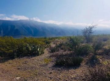 Terreno / Lote , Bustamante · Venta Dos Mil Hectáreas de Terreno Ejidal con Cambio de Destino Aprobado en Bustamante, N. L. Venta