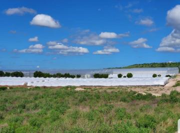Terreno industrial , Silao · Macrolote de 45 Ha Industrial/logístico, Uso Mixto, Pie de Carretera – Zona Puerto Interior