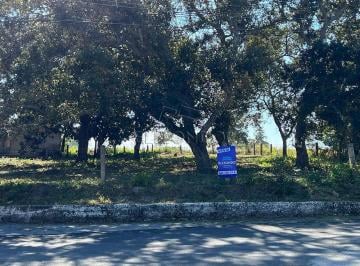 Terreno / Lote · 1244m² · (Metv2303) Terreno en Venta, Col. Lindavista Pueblo Viejo, Ver. $1’270,000
