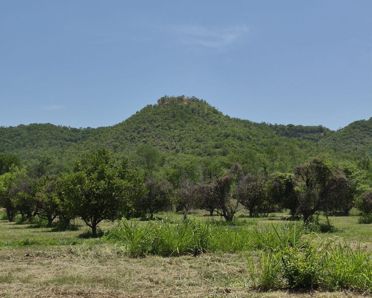 Terreno en Montemorelos, N. L. Ideal Para Para Desarrollo Campestre o Semi Urbano