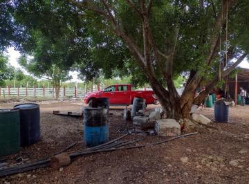 Rancho · 896000ha · Vendo Rancho Apicola Dzilam Bravo, Yucatan