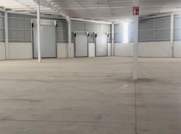 Nave industrial , Arteaga · Bodega en Renta