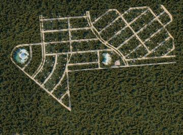 Terreno / Lote , Lázaro Cárdenas · Terreno en Venta en Cenote Habitat. Playa del Carmen
