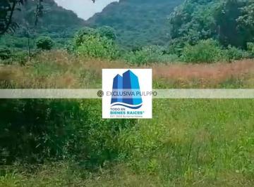 IMG_8456.webp · Terreno Residencial en Venta en Pueblo Tlayacapan