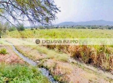 WhatsApp Image 2025-04-28 at 9.54.56 AM (2).jpeg · Terreno Residencial en Venta en Pueblo Tehuixtla
