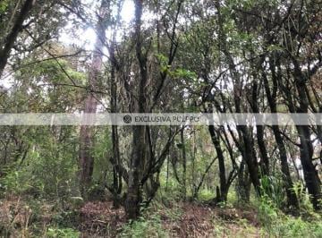 Terreno / Lote · 29068m² · Terreno Residencial en Venta en Transfiguración