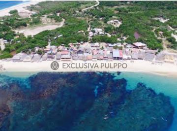Terreno / Lote · 50000m² · Terreno Residencial en Venta en Fraccionamiento San Agustín