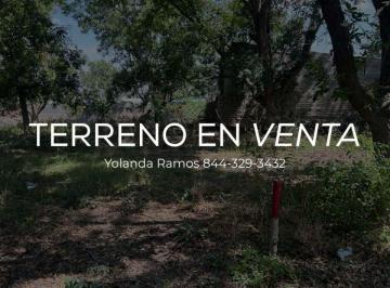 Huerta , Parras · En Venta Hermosa Nogalera