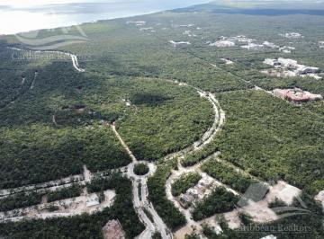 Terreno / Lote · 200m² · Terreno en Venta en Selvazama Tulum