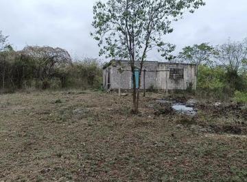 1 · Rancho Ganadero de 87.14 Ha en Venta en Dzoncauich