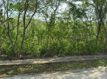 1 · Lote Residencial en Venta en Cabo Norte Mérida - Licata | Proyecto Aprobado