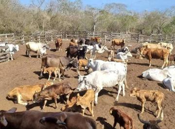 1 · Rancho en Activo en Venta – Propiedad Privada de 381 Hectáreas