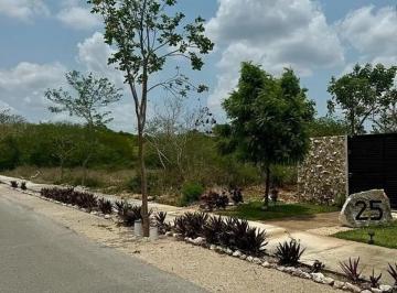 1 · Terreno 1000 m² en Venta en Residencial Dzidzil - Ha