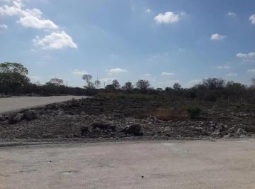 1 · Terreno en Venta Al Poniente de Mérida, Cerca de Perifèrico